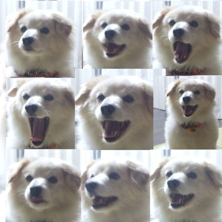 Ff45a99c 45ed 42df 9bf9 a1abc358ecfc 1639712064004