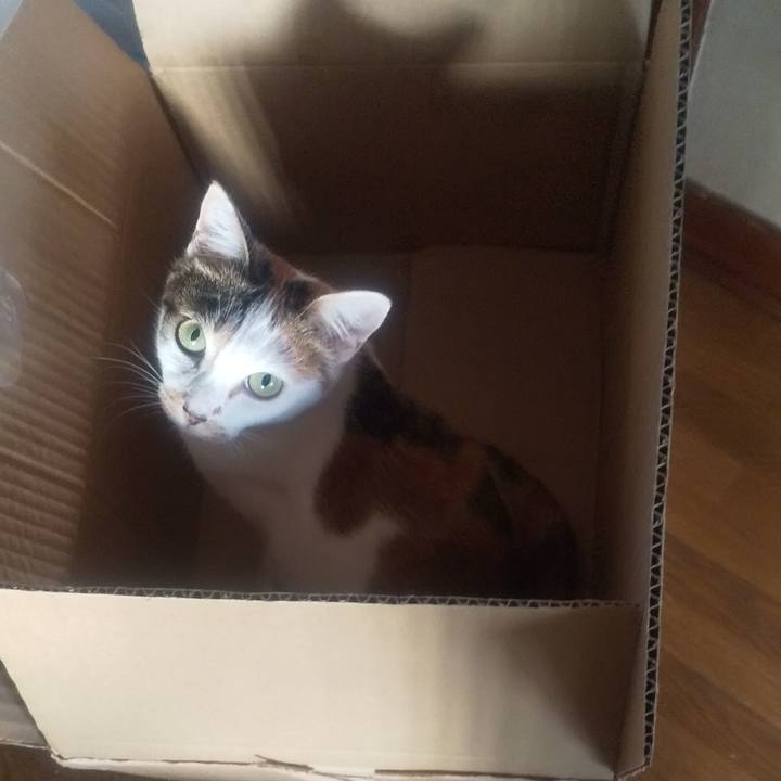 Ff45bf95 34f0 4d7e a07d 3d20061078fd 1677914972929