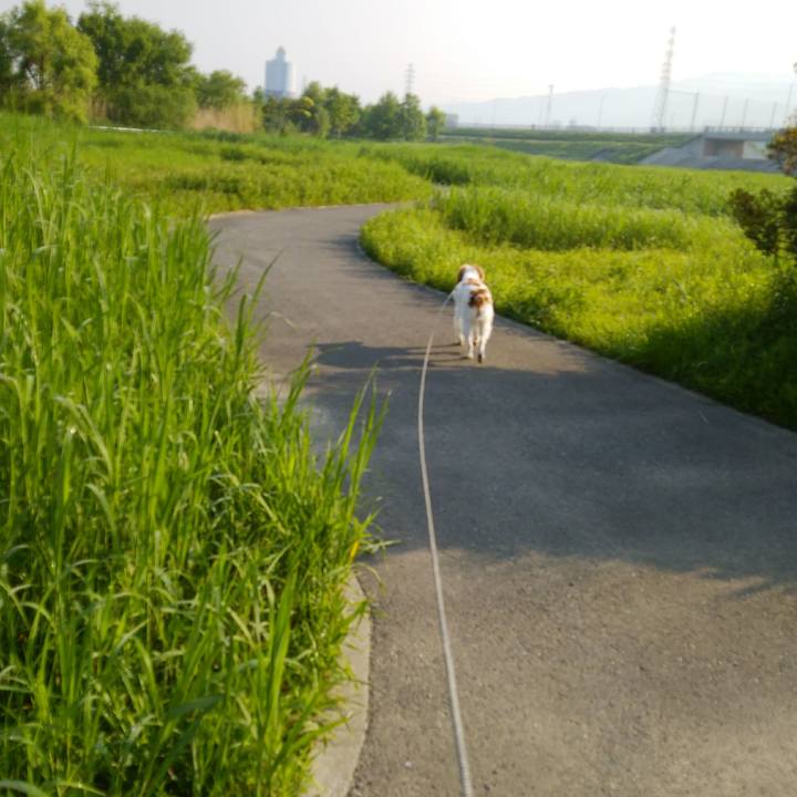 Ff45dfeb 3622 40c9 9792 826ecd10be34 1525132349742