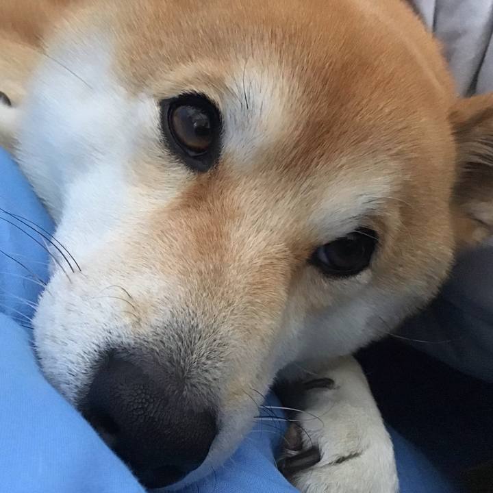 Ff46396c f66a 48f0 a17c 7103f4d07a6c 1642056171047