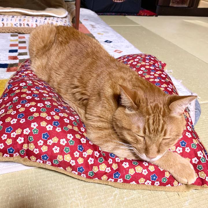 Ff464530 c168 4693 979f 328e6a403f40 1588686025162