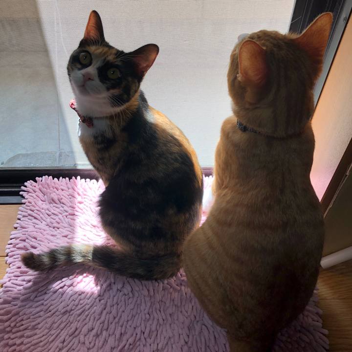 Ff465928 4e6e 456a aea2 3c8e21269d83 1555736100868