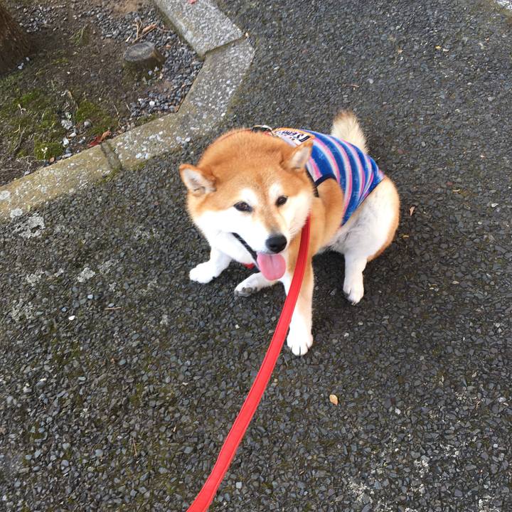 Ff468ca8 20e0 42ca a387 4fa0f6dd61e8 1596757967202