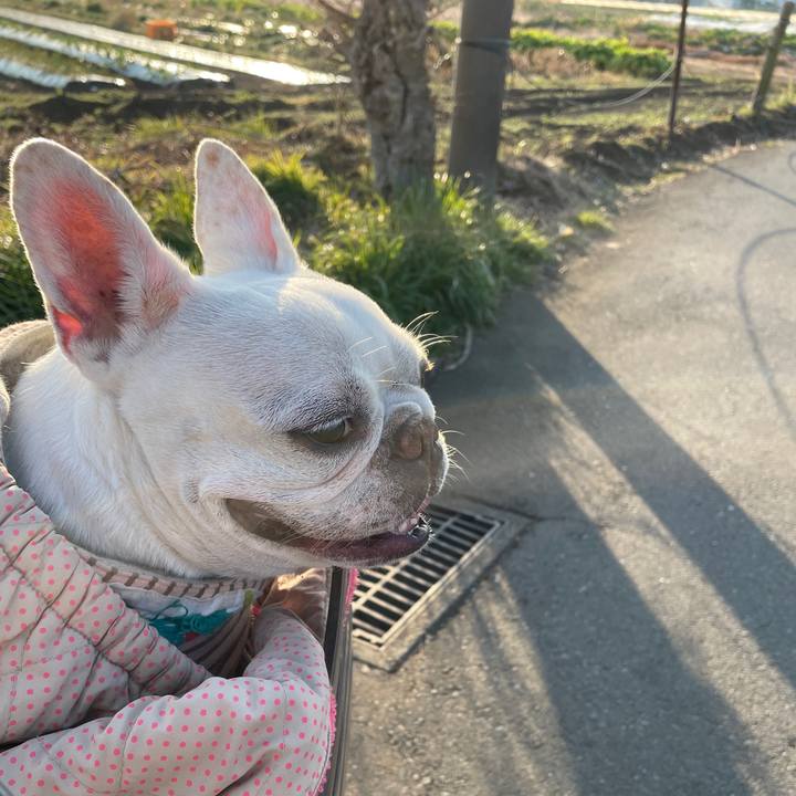 Ff46a9b3 18fd 4bbc bf1d 6eea9978160e 1737618518712