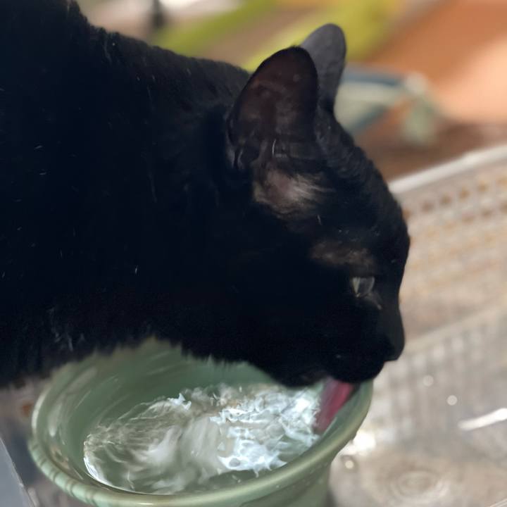 Ff46bc3e 2b5e 413d 803f 68e4a83ff047 1620437682396