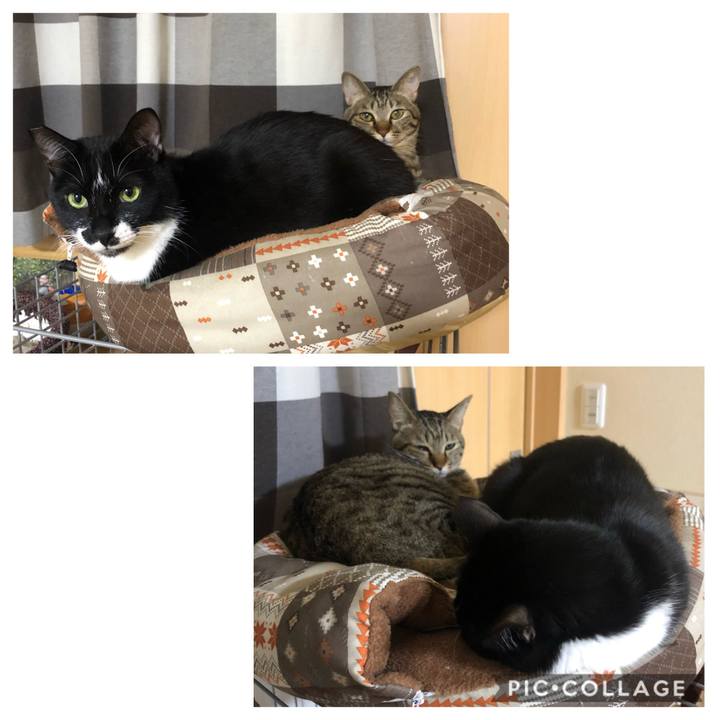 Ff46bd30 1665 4102 9802 337b370a992b 1577308339259