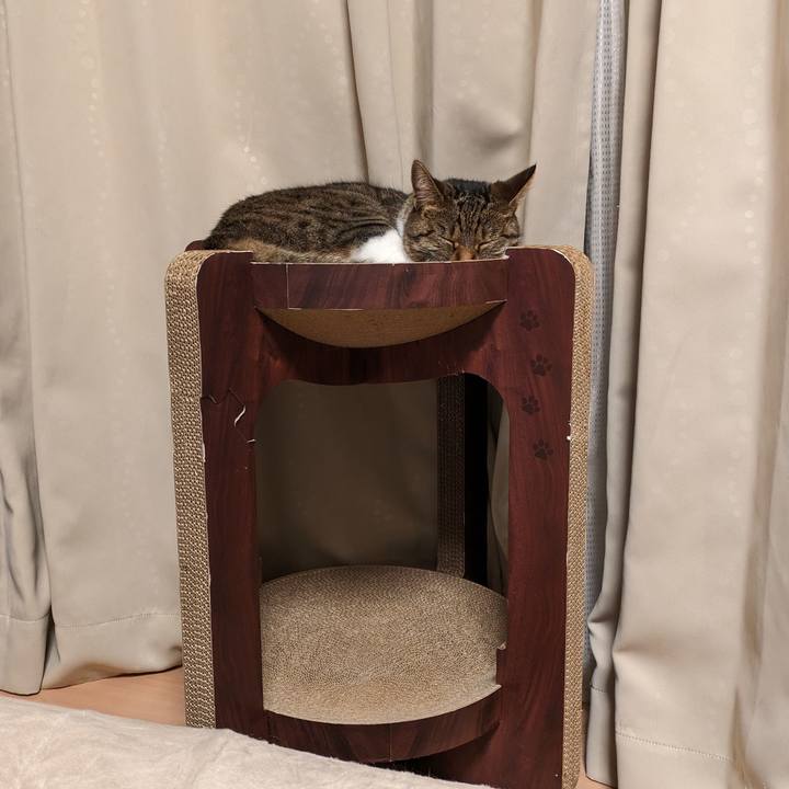 Ff46d7d9 970c 4f8e a271 370d7cc40f68 1691146448739