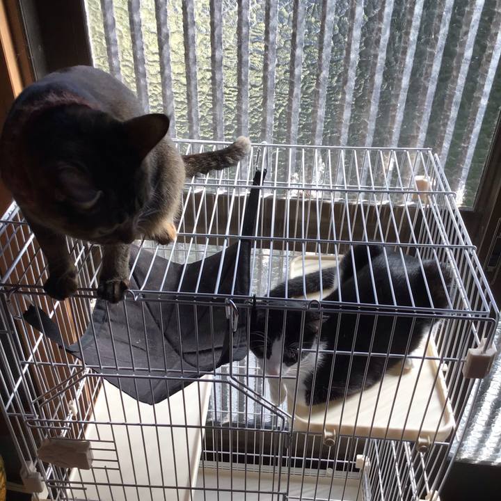 Ff46e37b 7f83 4000 9577 7801950fbdd8 1633943470650