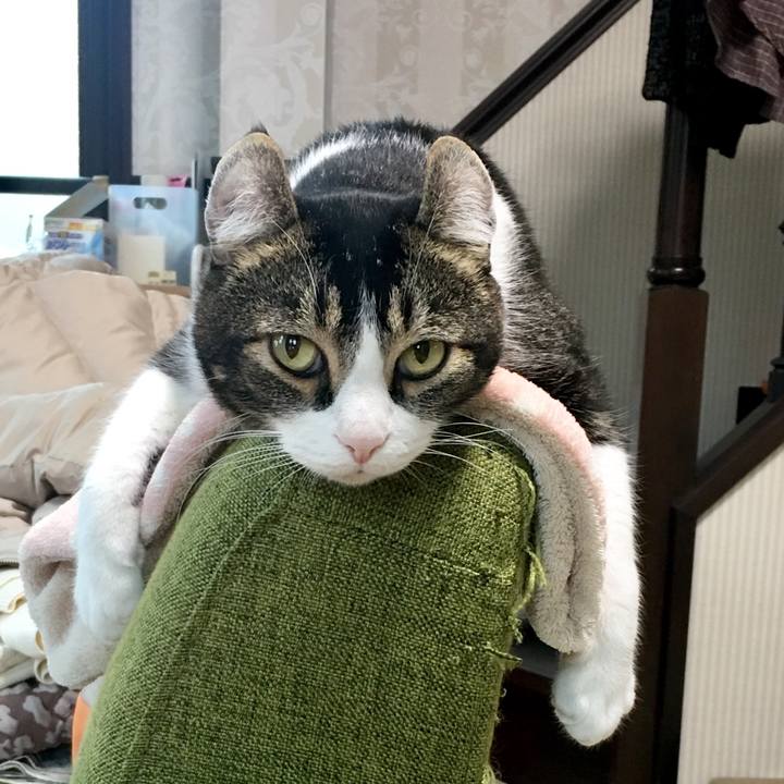 Ff470dd1 8964 4ae7 900b ca505c809394 1516158804098