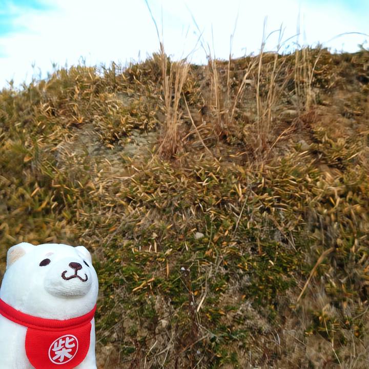 Ff477bef e6f7 41a4 820f 0db99b450098 1767434266875