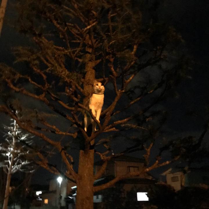 Ff47a31a 5001 4fca 8f06 838b327797a5 1513599214711