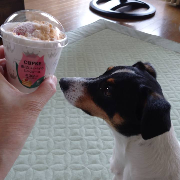 Ff47bc48 1432 4c00 9473 5ffe61ba5515 1587005830684