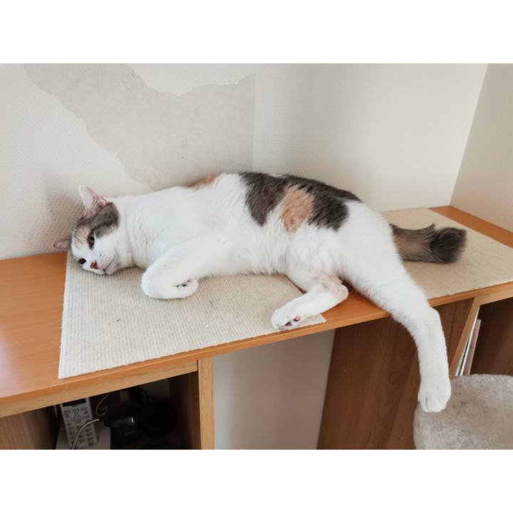 Ff47beac 819a 4fcd 8d1c 48a1c832c6e2 1652758636041