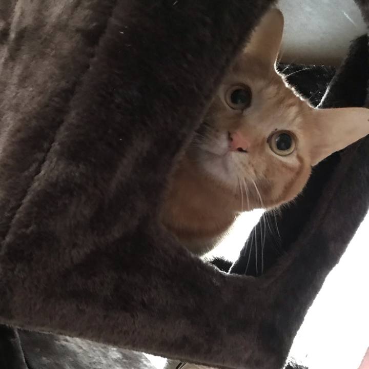 Ff47c7dc 5de0 4a18 be7e c495e8227356 1587338767072