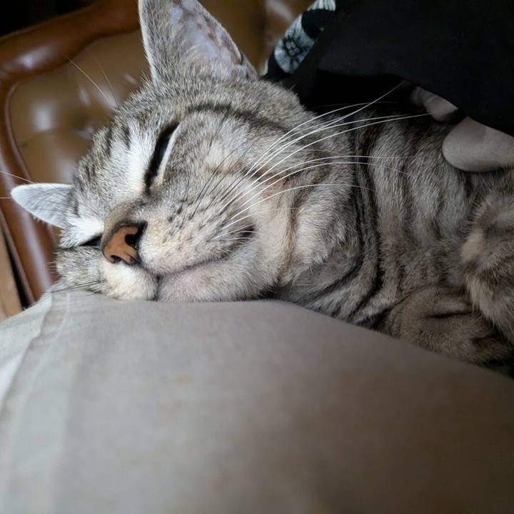 Ff48462f 8063 4b2c a5fe ca1606b9864d 1732848224410