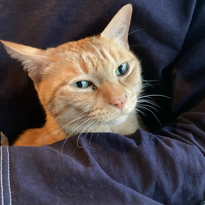 Ff4863f0 4950 49f9 9bfb 73cadad4b181 1699655387545