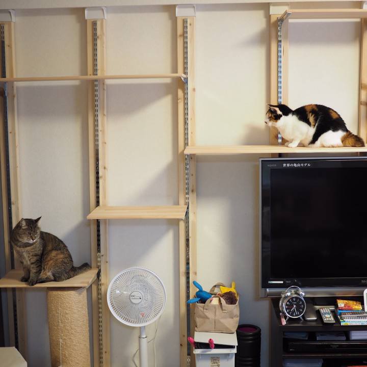 Ff48a15a 131c 48b4 978a 285c94d5e738 1551174783281