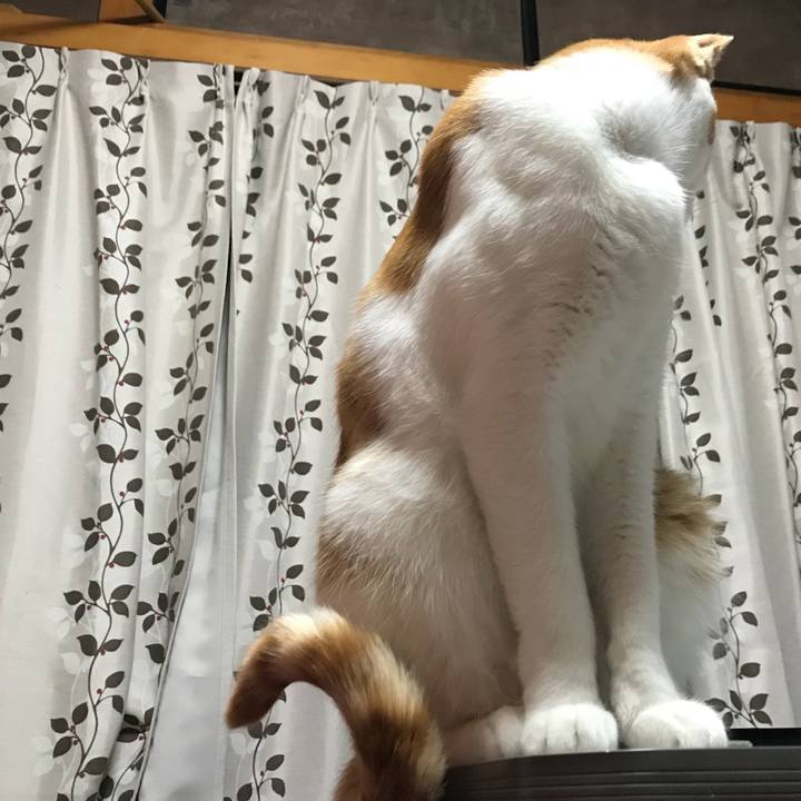 Ff48beec 8ea1 4980 8fa3 00b730a832c9 1520591705070