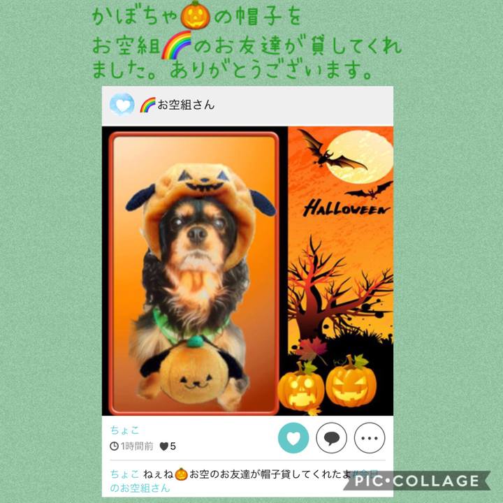 Ff48c615 9830 4614 945c b8d771e5a289 1572480965427