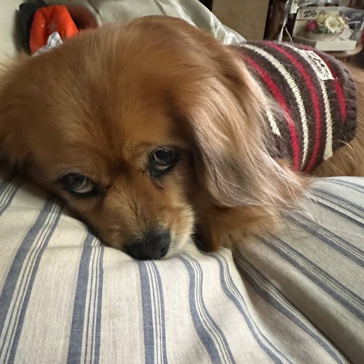 Ff48cb2b 4037 4f9d 9c8e 7ec6b50c5aeb 1739923130846