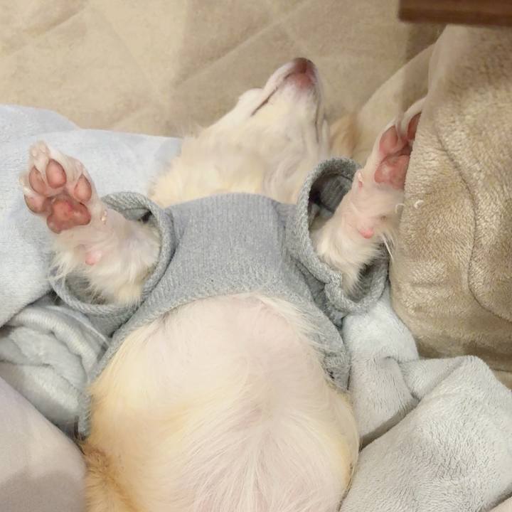 Ff490277 0823 417d bbb1 9ef3acb0038d 1775043278257