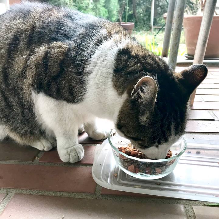 Ff4913be 4d91 482e 8986 dcbbab15fc02 1519615990269