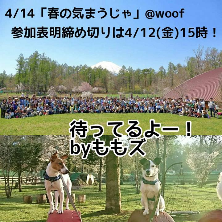 Ff495674 e0b9 4cc2 8118 4be23151fdb6 1554805897002