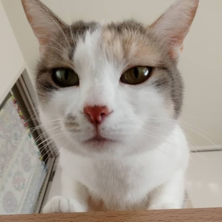 Ff49699b 2ccf 4ccc a5c9 19fc425e5707 1574933091341