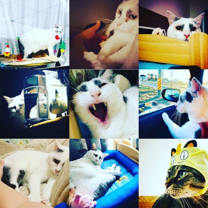 Ff497668 f618 4014 9377 66e084976091 1577769604569