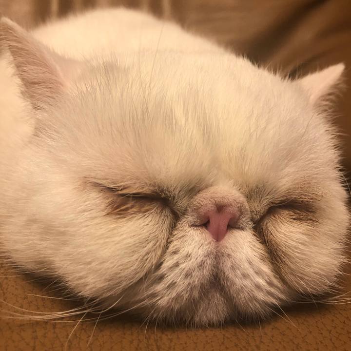 Ff498314 8d7a 4a3d aa3f d3642ed3c521 1647689709534