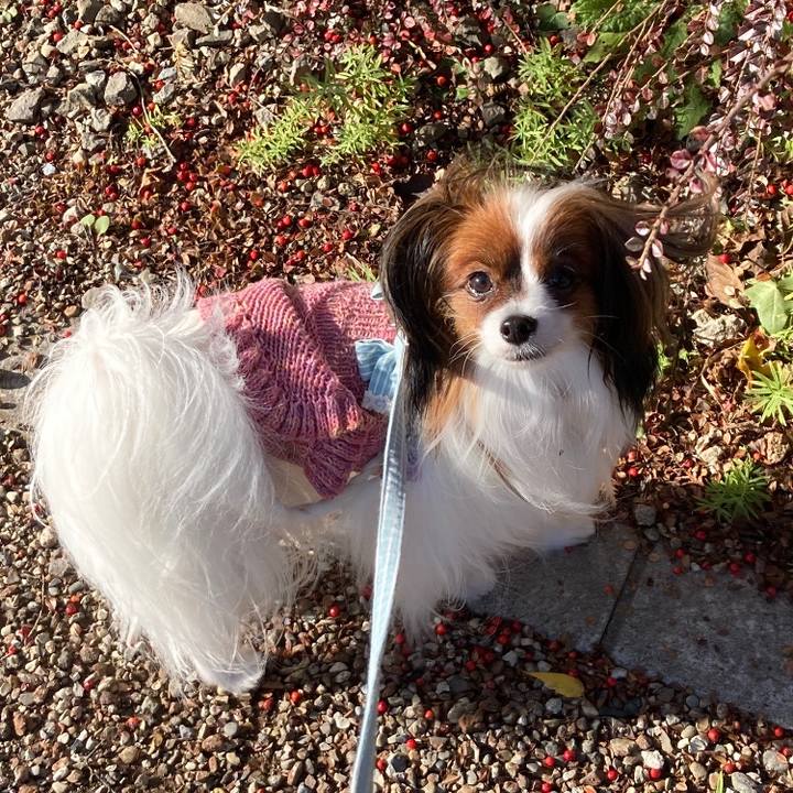 Ff498df0 b94a 4f61 9a0f f17d2ef9608e 1639098570894