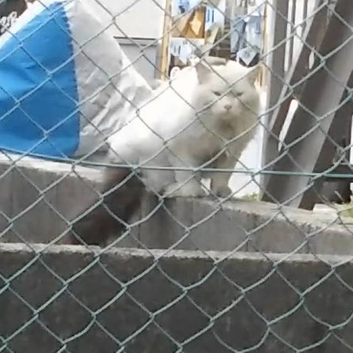 Ff49948d 852c 406f 835f 8428943ffb87 1552464434309