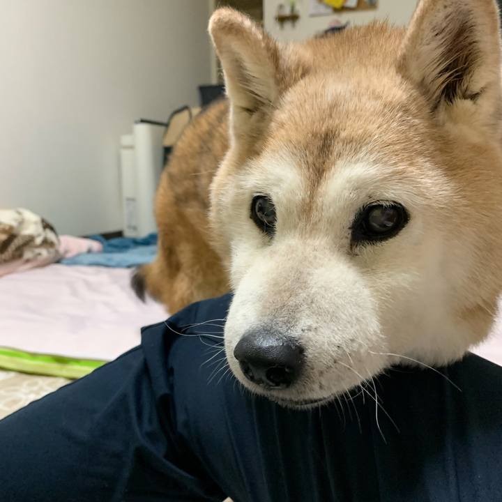 Ff49a10e 1c82 465a a4e5 86a51c50dadc 1694353920278