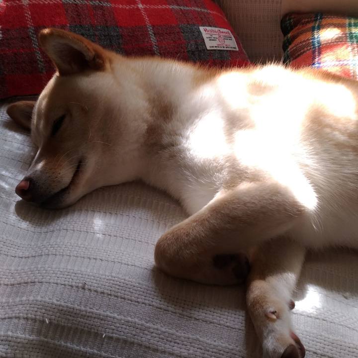 Ff49c3f3 20cc 4d59 af5a de6ae8938665 1524357881018