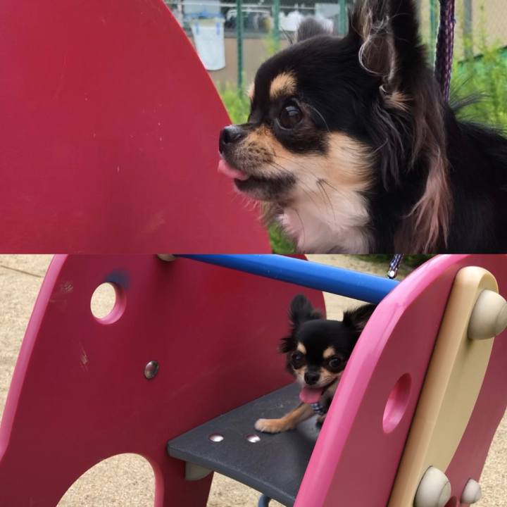 Ff49c512 05b5 44d0 95a7 d60edafe638f 1561776858519