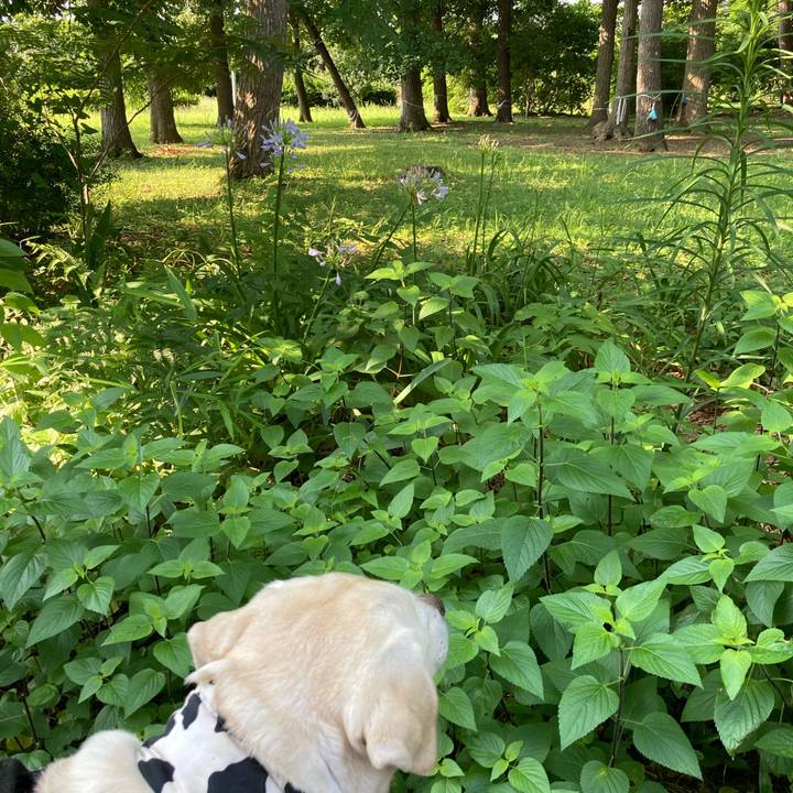 Ff49d56d 8811 4da2 999d e43e95c5ef58 1751208287722