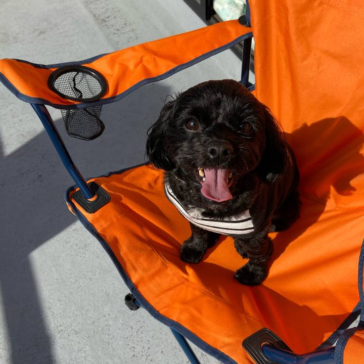 Ff49e88c cff7 4a38 9d76 2f03f3378878 1572761525694