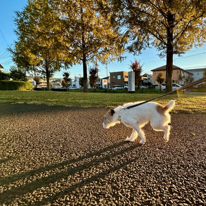 Ff4a359b 7374 4e01 a01f 9ef10a03839d 1731073152464