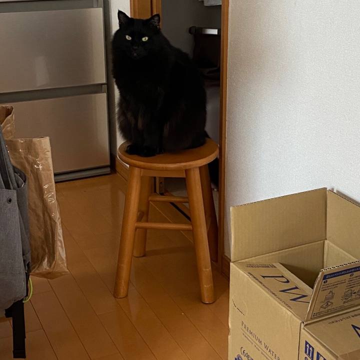 Ff4a462e dee3 4111 abfb fd628a0315a6 1586863665276