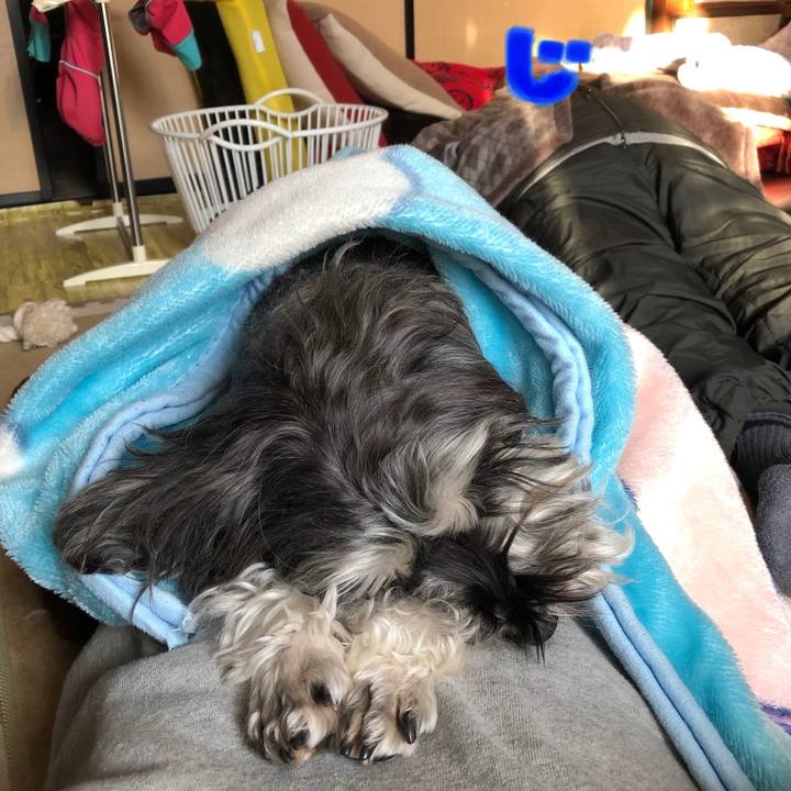 Ff4a744f ba3b 4607 96fe 1051180f0c29 1549119707604