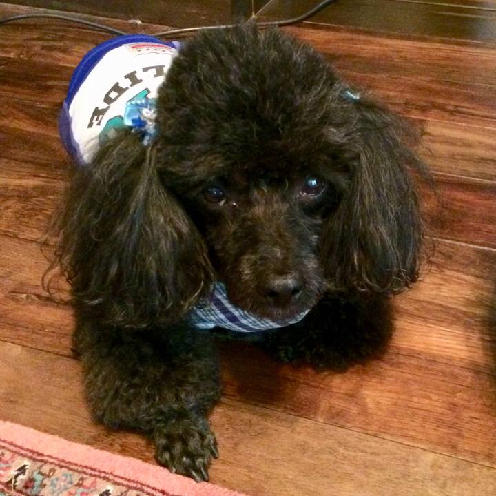 Ff4a8fea 2b7c 4ecb b834 da96e53e8abb 1528716943978