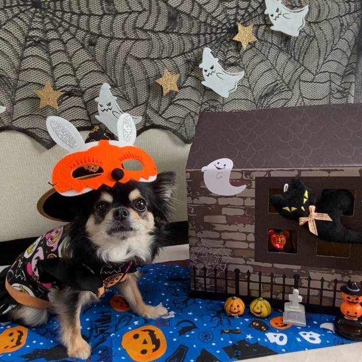 Ff4ae720 3af3 481b 8b54 20e657ffbbf9 1635631602553