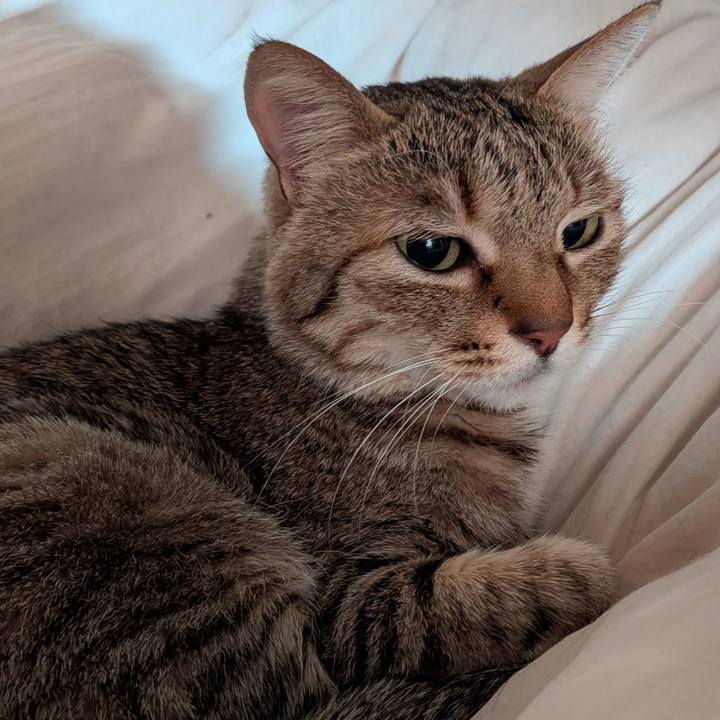 Ff4af7f7 bb49 4aa8 aee1 be5e19b8a5a9 1774477593998