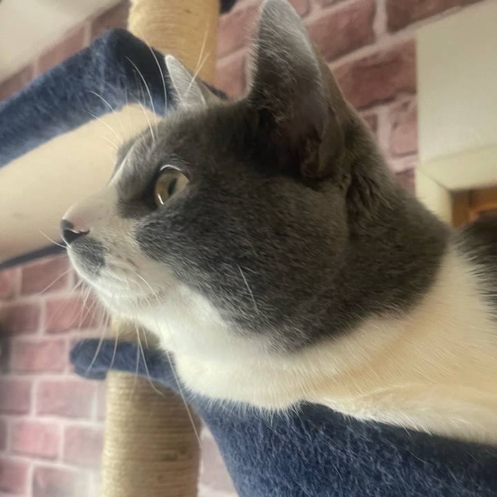 Ff4b16e3 69df 4a9c 94af 1eef2de3b249 1709852675239