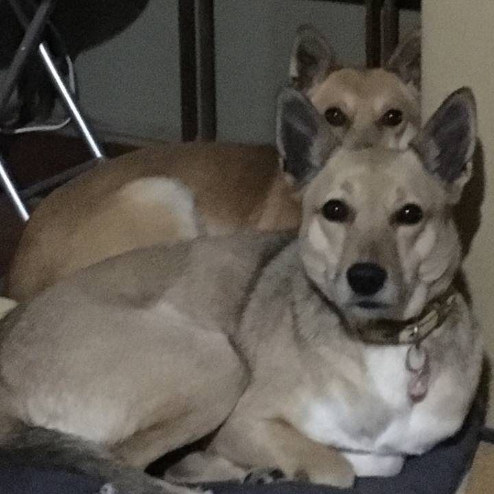 Ff4b1905 2bc3 4400 aa1c b76a1f704589 1518495757748