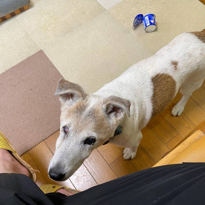 Ff4b3283 da9c 456e 8fdc a129fed758a2 1722379268709