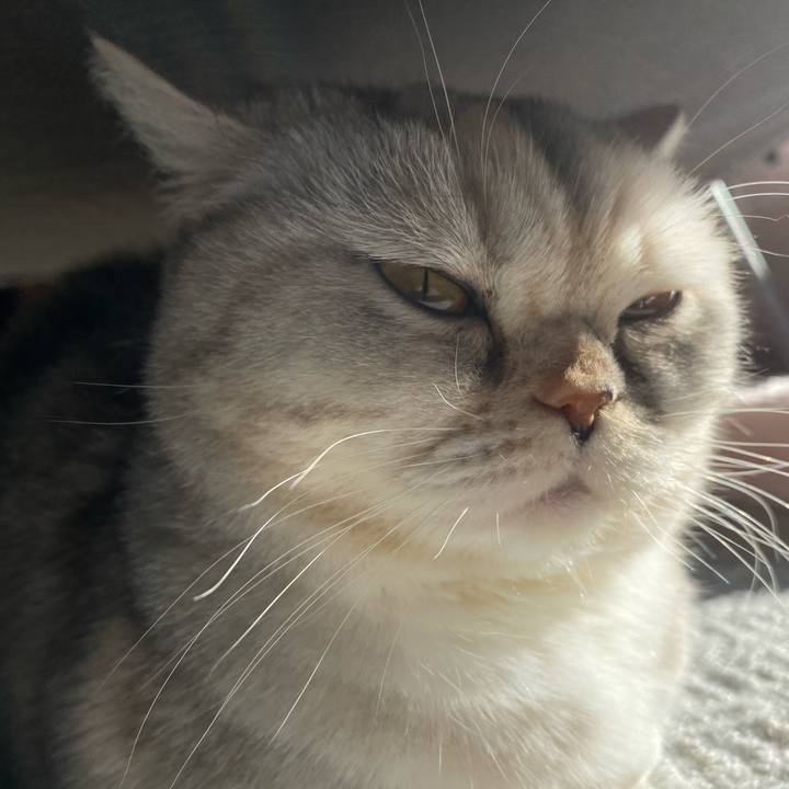 Ff4b5776 0b9c 4f99 9f09 f85fa7d156b5 1739058110493