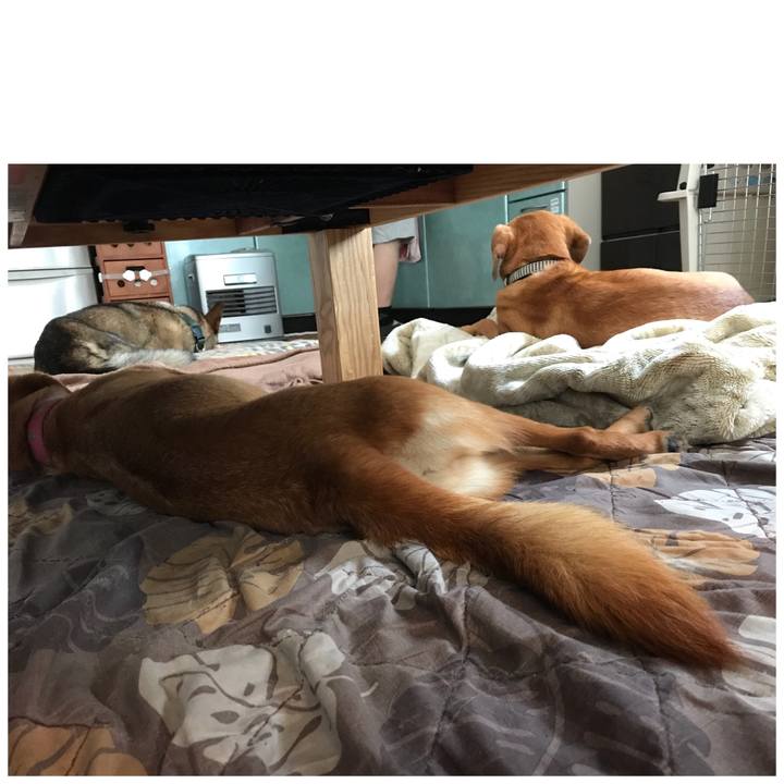 Ff4b7cd9 8615 4093 b88d 9f83ef5c0750 1526607200690