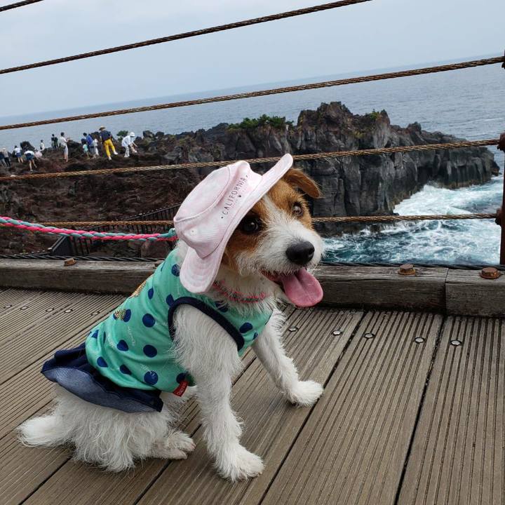 Ff4b7eec 289c 40d6 8d60 e7f6cc729eb0 1566793668063