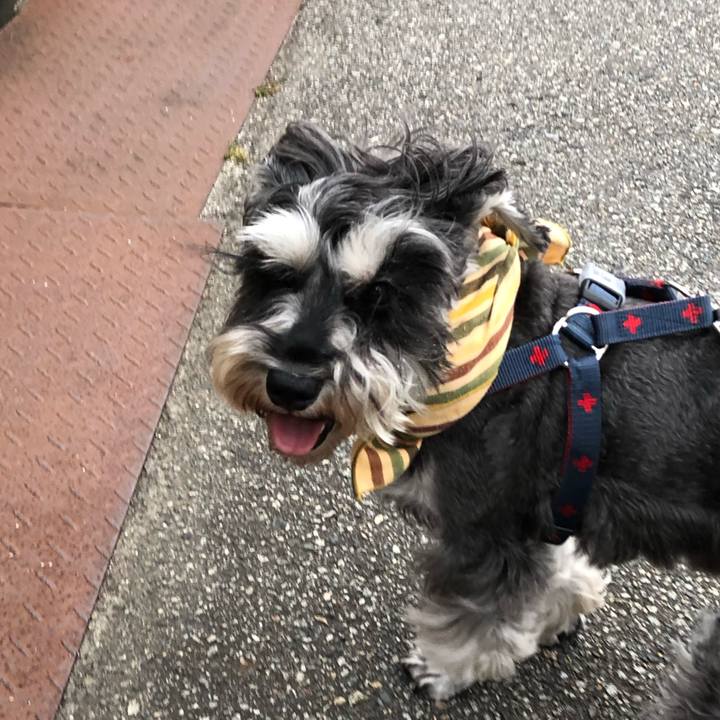 Ff4b8c40 26b0 4106 91ab 6bd66759d06a 1628508923756